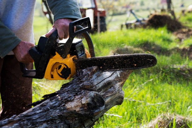 Lufkin Environmental Reliable Tree Trimming Springfield Solutions